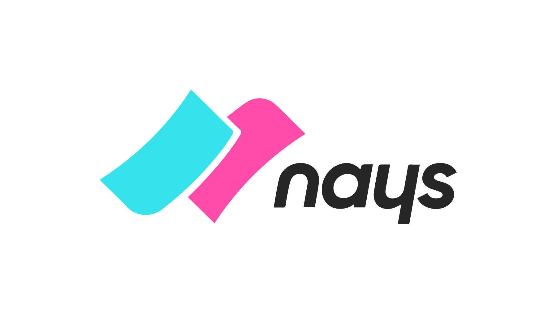 Nays logo